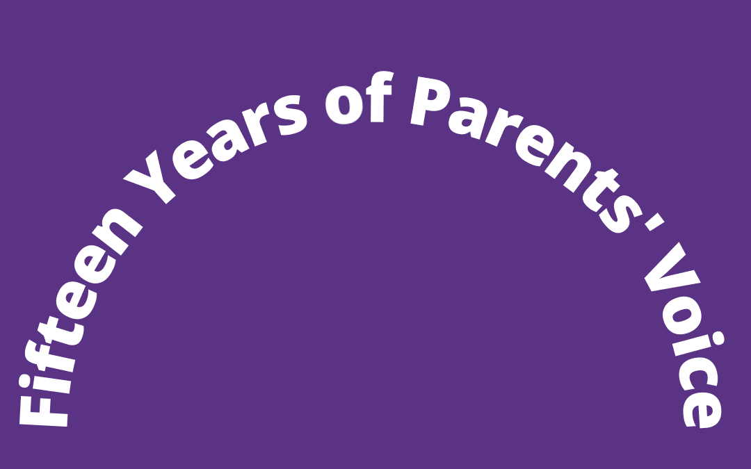 Fifteen years of Parents’ Voice – how have we grown since 2005?